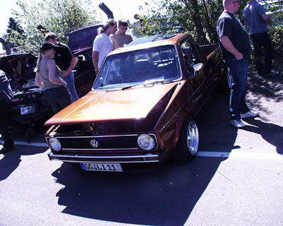 Lupo schwarz 01